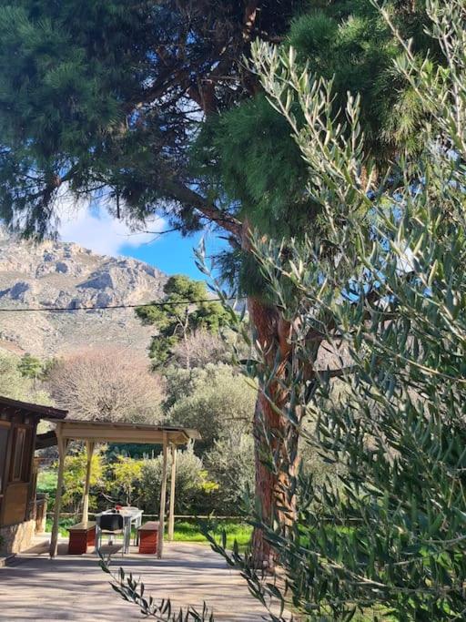 Annas Cozy Cottage Kalymnos Panormos  Exterior photo