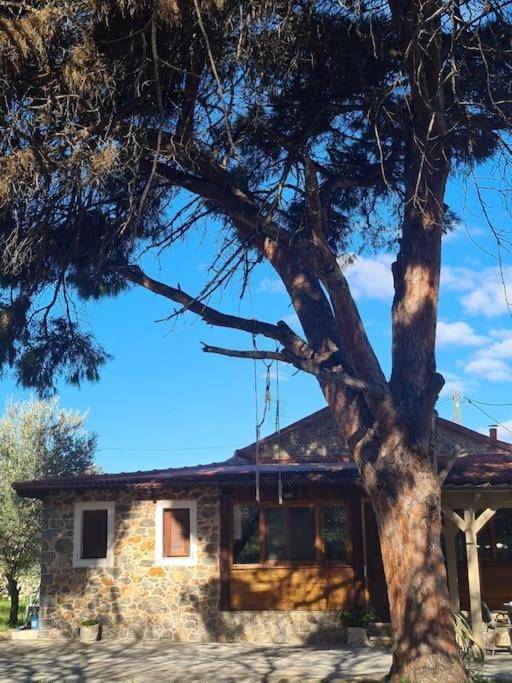 Annas Cozy Cottage Kalymnos Panormos  Exterior photo